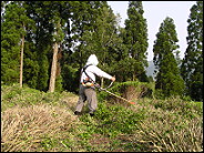 �����E��