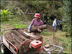 �z�_�؉^��