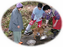 �K���Ȃ���