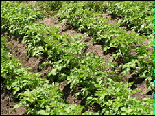 �W���K��