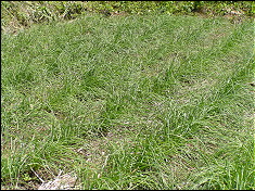 ���b�L���E