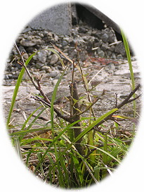 ���x�ݏ�11-10