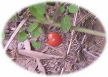 ���x�ݏ�11-9