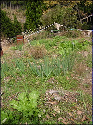 ���x�ݏ�11-6