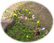 ���x�ݏ�11-12