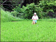 �c�̑����