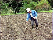 ���̎펪��