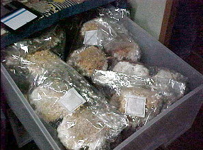 �z�_���t����