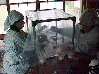 �����ېڎ�04/05