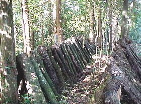 �V�R�z�_��