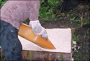 �y��������